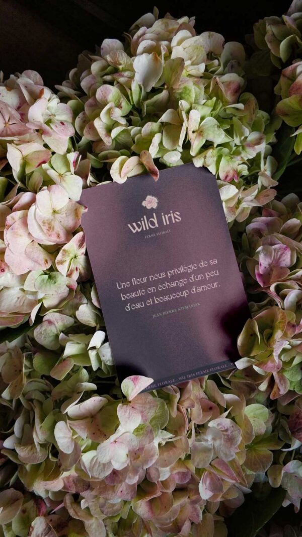 Wild Iris – Image 5