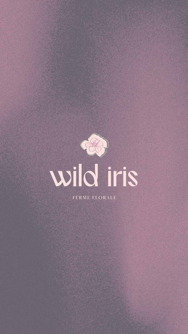 Wild Iris – Image 11