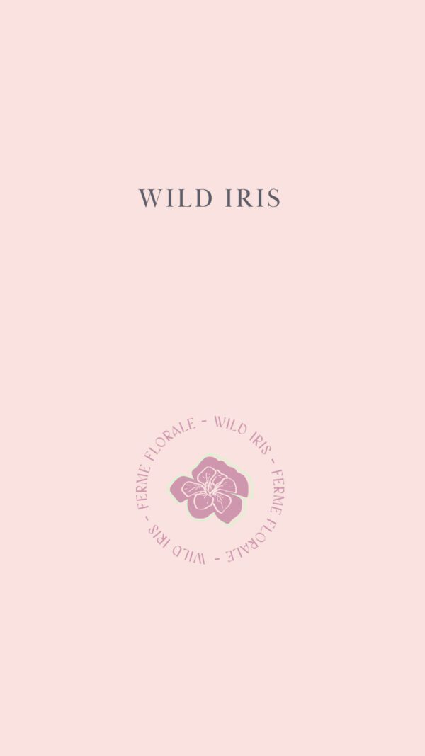 Wild Iris – Image 12